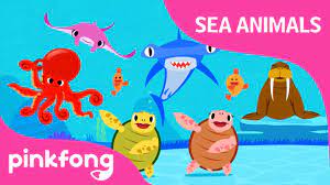 Move Like Sea Animals Sea Animal Songs Animal Songs Pinkfong Songs For Children Youtube