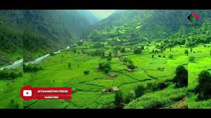 نورستان به لحاظ جغرافیایی یک ولایت کوهستانی با جنگل انبوه است و حدود 9267 کیلومتر مربع مساحت دارد که مجموعاَ 75 هزار هکتار علفچر و 251 هزار. ÙˆÙ„Ø§ÙŠØª Ù†ÙˆØ±Ø³ØªØ§Ù† Ø¯Ø± Ø´Ù…Ø§Ù„ Ø´Ø±Ù‚ Ø§ÙØºØ§Ù†Ø³ØªØ§Ù† Ø±Ø§Ø´Ø¯Ø´Ø§Ù‡Ø¯Ø§Ø®Ù†Ø¯Ø°Ø§Ø¯Ù‡