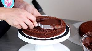 Ganache Grundrezept Sallys Blog Motivtorten Schokoladen Kuchen Schokokuchen Rezept