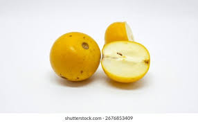 Image result for Ximenia afra