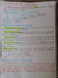 É o reino dos seres vivos microscópicos e abarca os organismos procariontes (arqueas e bactérias). Classificacao Dos Seres Vivos Classificacao Dos Seres Vivos Materias Ensino Medio Resumos Enem