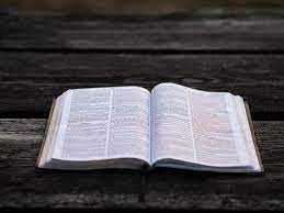 Holy Bible 1080p 2k 4k 5k Hd Wallpapers Free Download Wallpaper Flare This hd wallpaper is about holy, book, bible, original wallpaper dimensions is 4994x3327px, file size is 3.25mb. holy bible 1080p 2k 4k 5k hd