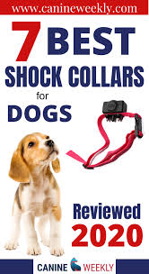 7 Best Shock Collars For Large Dogs Updated 2020 Reviews In 2020 Shock Collar Dog Shock Collar Electric Dog Collar