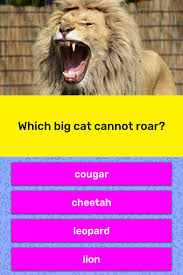 The ones that run over 70 miles an hour. Which Big Cat Cannot Roar Trivia Answers Quizzclub