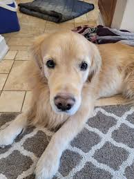 My best friend passed away