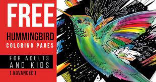 Hummingbird pattern coloring page for adults. Hummingbird Coloring Pages For Adults And Kids Kenal Louis