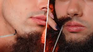 DIY Beard