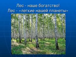 проект по окружающему миру 3 класс богатства отданные людям гагарин Gdz Okruzhayushij Mir Proekt Bogatstva Otdannye Lyudyam Prakard