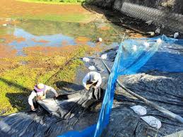 エレン・イェーガー (eren yeager )は進撃の巨人に登場する架空の人物で同作の主人公。 本作の主人公。強靭な精神力と非凡な行動力を持ち、幼少時より将来は壁の外に出て世界中を探検するという夢を抱き、壁の外の世界に人一倍強い憧れを抱いている。 æ·¡è·¯ å¤–æ¥æ°´è‰ ãƒŠã‚¬ã‚¨ãƒ„ãƒ«ãƒŽã‚²ã‚¤ãƒˆã‚¦ ãŸã‚æ± è¦†ã† æ°´å®³ã¾ã­ãæã‚Œ ç¥žæˆ¸æ–°èžnext