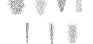 Pubic Hair Png Free Pubic Hair Png Transparent Images 36269 Pngio