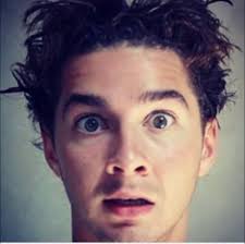 Has anyone tried the brand jada toys 1:24 die cast body's?