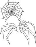 What is the smallest spider? Spider Coloring Pages