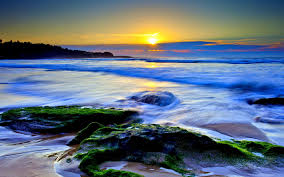 Official website for spartina 449, an upscale women's. Ocean Most Beautiful Sunsets 1920x1200 Download Hd Wallpaper Wallpapertip