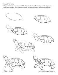 Pin On Drawing Animals