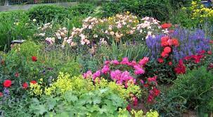 One of the best things you can do to have a successful cut flower garden is to make a good plan. Creating A Cut Flower Garden For Fun And Profit Finegardening