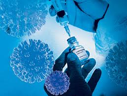 In october, some 44 vaccine candidates were in clinical research: Sars Cov 2 Prototype Vaccine Protects Macaques