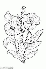 Dibujos De Flores Para Pintar Y Colorear Publicado por pintar dibujos deja un comentario. dibujos de flores para pintar y colorear
