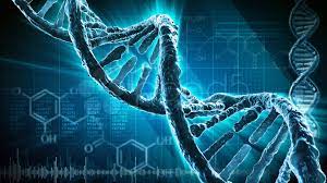We did not find results for: Molekuler Tip Diger Medikal Bulut