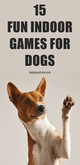 15 fun indoor games to keep your dog busy dog paw pads games for puppies dog paws