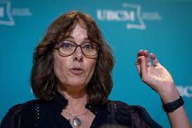 Legislative and judicial politics