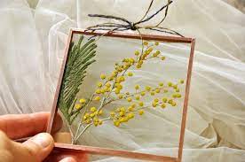 Dry Mimosa Flower Pressed Mimosa Frame Handmade Pressed Flower Frame Yellow Flowers In Frame Nature Gift From Italy Present For Her Mimosa Flower Flower Frame Pressed Flower Art