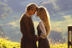 An Ode to The Princess Bride — The Geeky Waffle