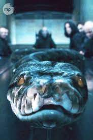 Pin On Harry Potter Facts