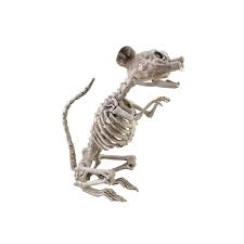Europalms Halloween Skeleton Rat 32x10x16cm Music Store Professional