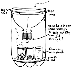 Pin On Tips Tricks Neat Ideas