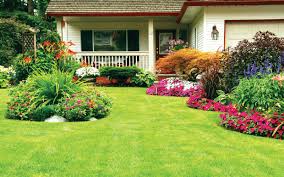 18 Landscaping Rules For Your Home The Dirt Blog Stauffers