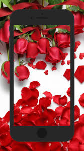 Flower hd phone wallpapers download free background images collection, high quality beautiful flowers wallpaper for your mobile phone. Beautiful Flowers Wallpaper Hd For Android Apk Download