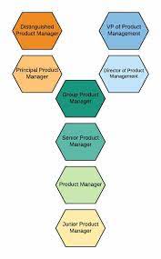 Dual Track Product Management Career Ladder Management Career Path Career