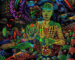 Swim has 4 12 cuttings of san pedro. How To Get Dmt In Egypt Unugtp