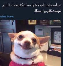 الحمدلله بجيب علاماتي من تعبي in 2021 funny dude funny science jokes jungkook funny
