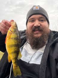 Check out these yellow perch facts!🎣