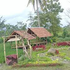 Saat lelah, petani akan keluar dari petak sawah dan menuju gubuk yang ada di tengah hamparan sawah. 7 Tempat Makan Dengan View Sawah Paling Adem Di Jogja Bikin Betah