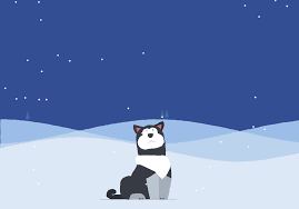 2016 Our Favorite Codrops Resources