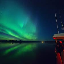 Spotted In Spring Alaskaawakening Adventure Cruise Explore Alaska Alaska Cruise
