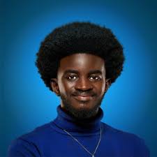 Web Developer posted