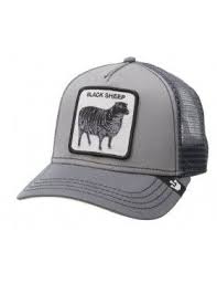 Goorin Bros Trucker Cap Kaufen Gratis Versand Caps Kaufen Der Spezialist Fur Caps Goorin Trucker Cap Black Cap