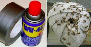 20 Facons Intelligentes D Utiliser Le Wd 40 Truc Et Bricolage Trucs Et Astuces Bricolage Trucs Et Astuces
