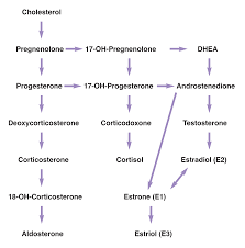 66 Detailed Steroid Equivalent Dose Chart