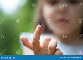 Niña Linda Que Lleva a Cabo Un Insecto En Su Finger Imagen de archivo