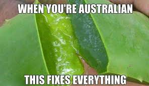 Pin By J M On Everything Aussie Australia Funny Funny Aussie Aussie Memes