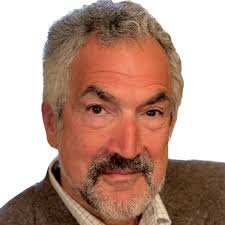 Conspiracy: How the Paranoid Style Flourishes and Where It Comes From:  Pipes, Daniel: 9780684871110: Amazon.com: Books