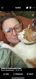 Lost cat in Kankakee County, Illinois