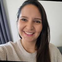 Study of the development of a boundary layer using the remote microphone  probe technique