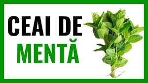 Ceaiul de menta intăreşte sistemul imunitar ceaiul de mentă stimulează sistemul imunitar deoarece este bogat în nutrienţi: Ceaiul De MentÄƒ ConstipÄƒ Ceai De MentÄƒ Beneficii ProprietÄƒÈ›i ContraindicaÈ›ii Youtube