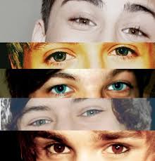 We did not find results for: Beautiful Eyes And Harry Styles Image 306476 On Favim Com