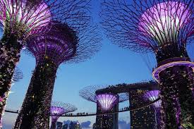 Jangan berani pulang sebelum mencuba minuman istimewa singapura, singapore sling, di nutmeg & clove dan smoke & mirrors. 13 Aktivitas Liburan Di Singapura Dan Pilihan Tempat Wisata Halaman All Kompas Com